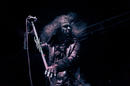 Moonspell 